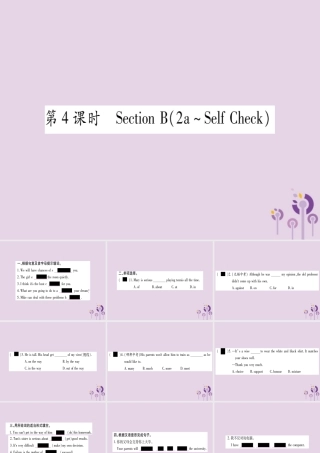 九年级英语全册 Unit 7 Teenagers should be allowed to choose their own clothes(第4课时)作业课件 (新版)人教新目标版 课件