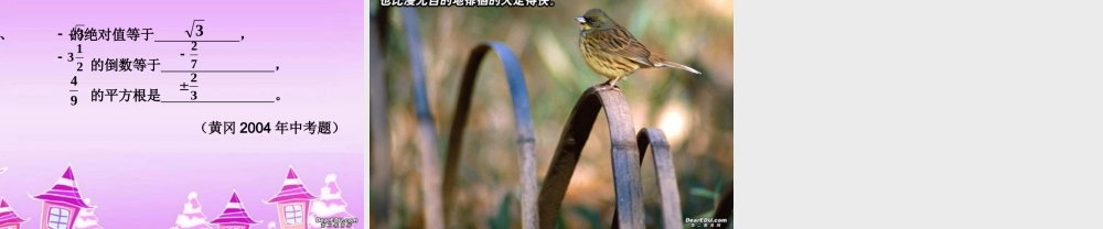 中考复习课件实数的概念 浙教版 课件