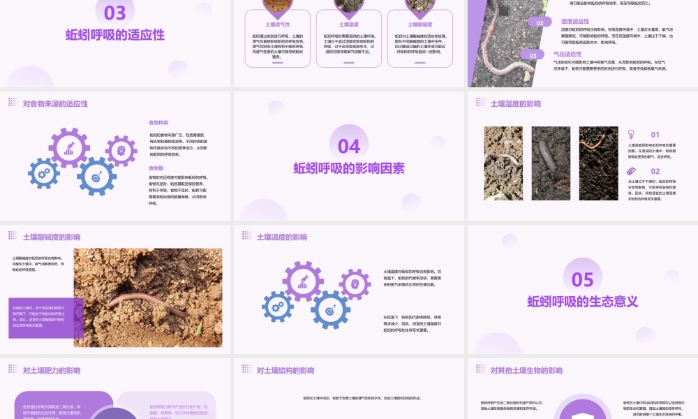 蚯蚓的呼吸是依靠课件