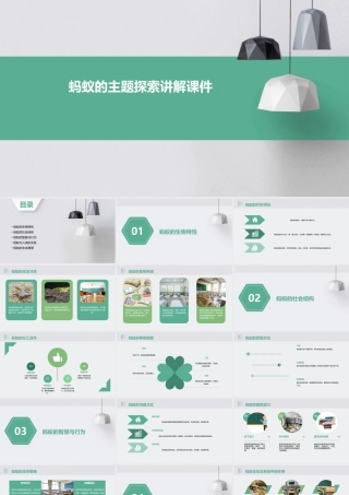 蚂蚁的主题探索讲解课件