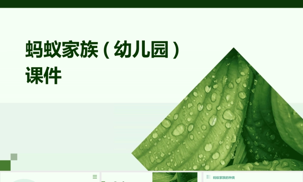 蚂蚁家族(幼儿园)课件