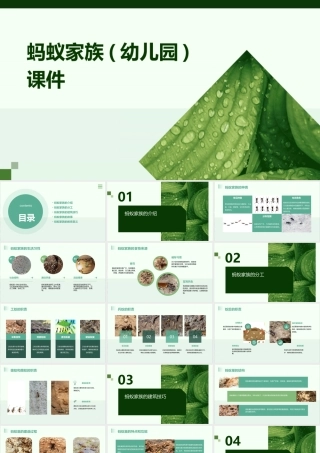 蚂蚁家族(幼儿园)课件