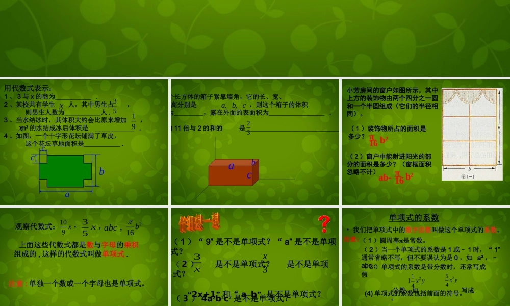 中学七年级数学上册 3.3 整式课件 (新版)北师大版