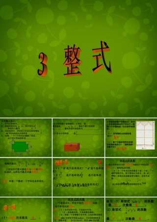 中学七年级数学上册 3.3 整式课件 (新版)北师大版