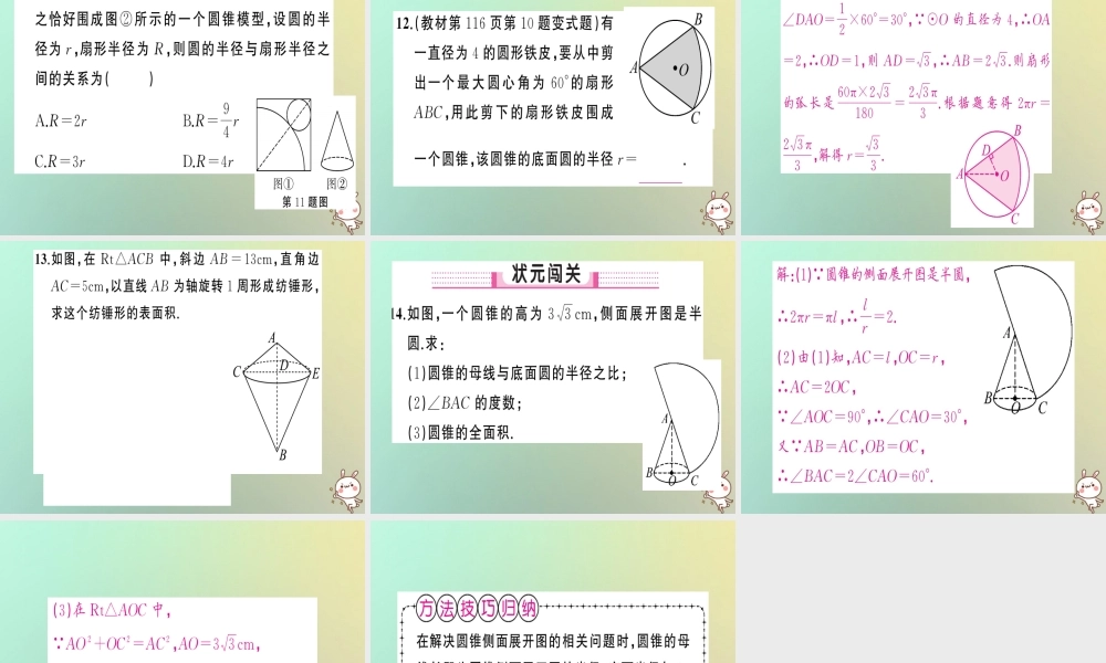 九年级数学上册 第二十四章 圆 244 弧长和扇形面积 第2课时 圆锥的侧面积与全面积习题课件 (新版)新人教版 课件