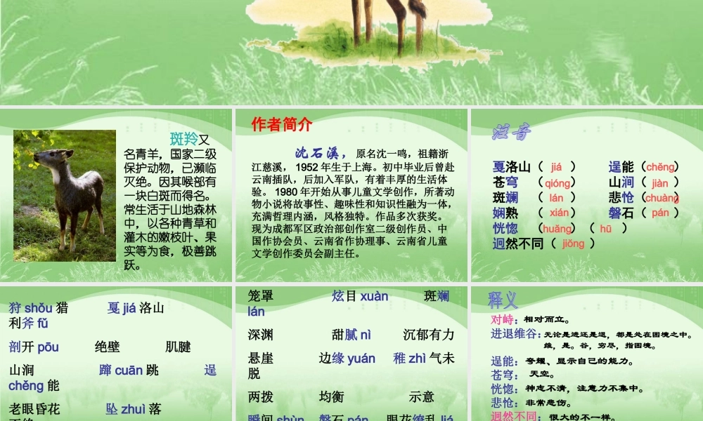 七年级语文下册 第27课(斑羚飞渡)课件 新人教版 课件