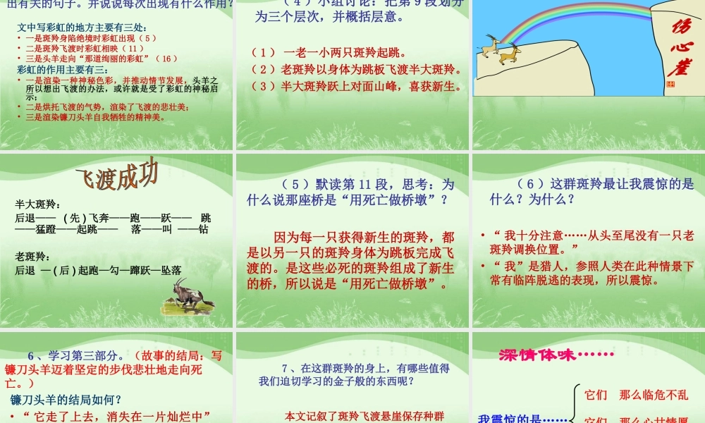 七年级语文下册 第27课(斑羚飞渡)课件 新人教版 课件