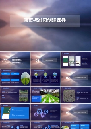 蔬菜标准园创建课件