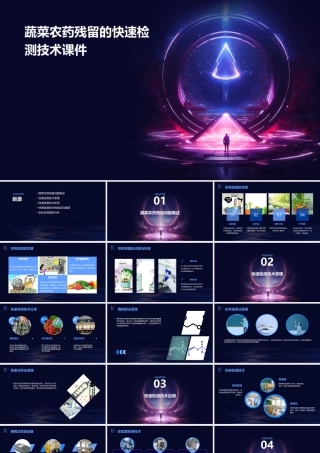 蔬菜农药残留的快速检测技术课件