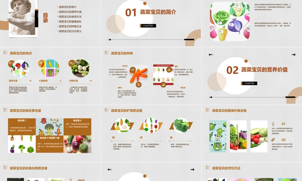 蔬菜宝贝的秘密课件