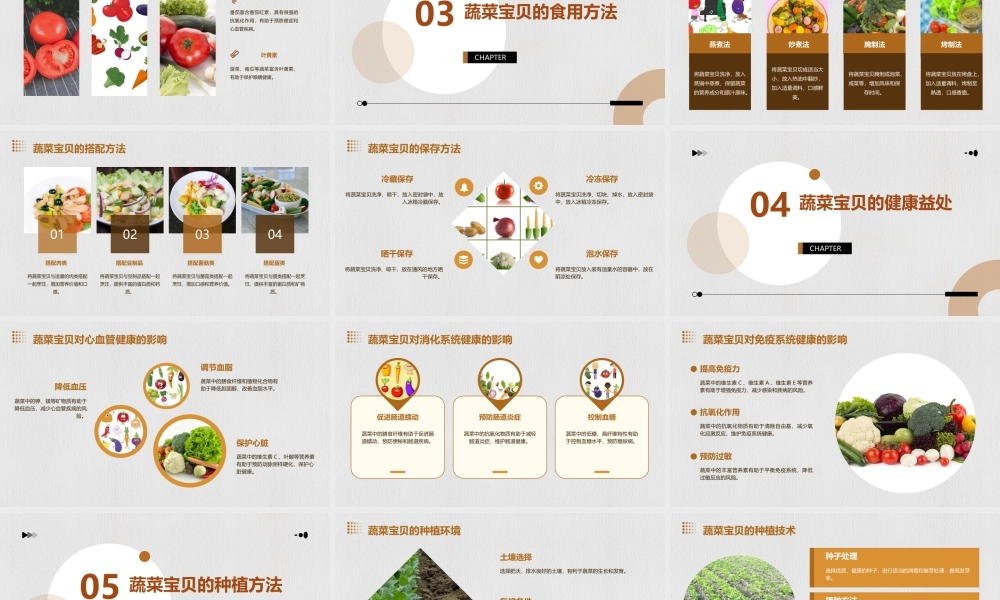 蔬菜宝贝的秘密课件