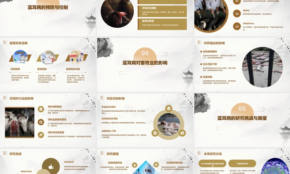 蓝耳病研究进展课件