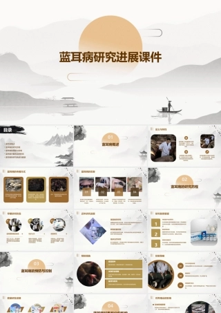 蓝耳病研究进展课件