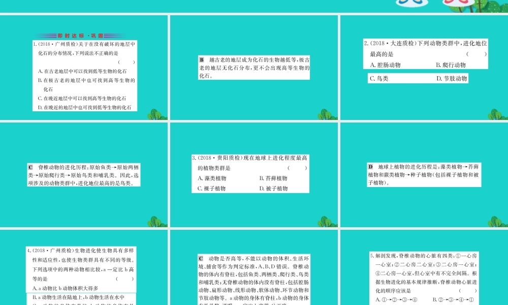 八年级生物下册 7.3.2 地球上生命的起源习题课件(新版)新人教版 课件