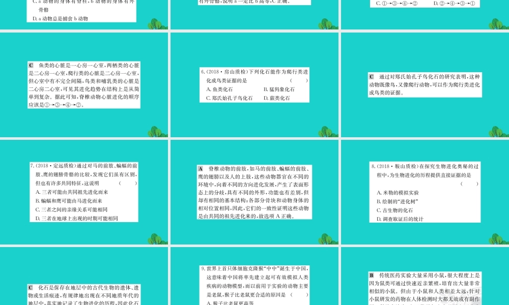 八年级生物下册 7.3.2 地球上生命的起源习题课件(新版)新人教版 课件