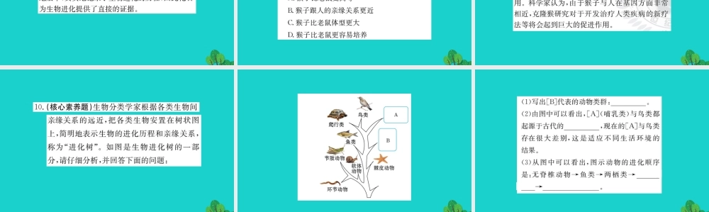 八年级生物下册 7.3.2 地球上生命的起源习题课件(新版)新人教版 课件