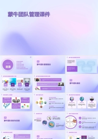 蒙牛团队管理课件