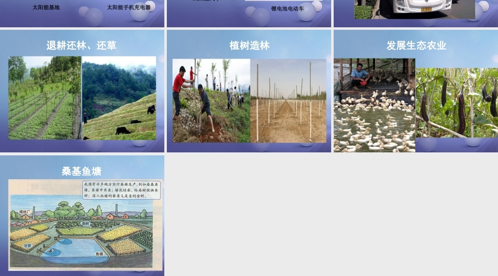 七年级生物下册 4.7.3 拟定保护生态环境的计划 拟定保护生态环境的计划拓展素材 新人教版 素材