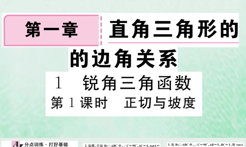 九年级数学下册 第一章 直角三角形的边角关系 11 锐角三角函数 第1课时 正切与坡度习题讲评课件 (新版)北师大版 课件