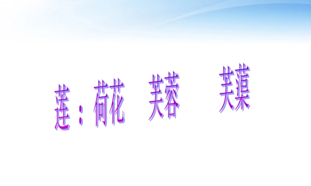 八年级语文上册 爱莲说课件 人教新课标版 课件