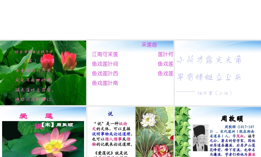 八年级语文上册 爱莲说课件 人教新课标版 课件
