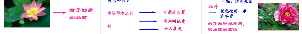 八年级语文上册 爱莲说课件 人教新课标版 课件