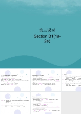 九年级英语全册 Unit 9 I like music that I can dance to(第3课时)Section B1(1a 2e)习题课件 (新版)人教新目标版 课件