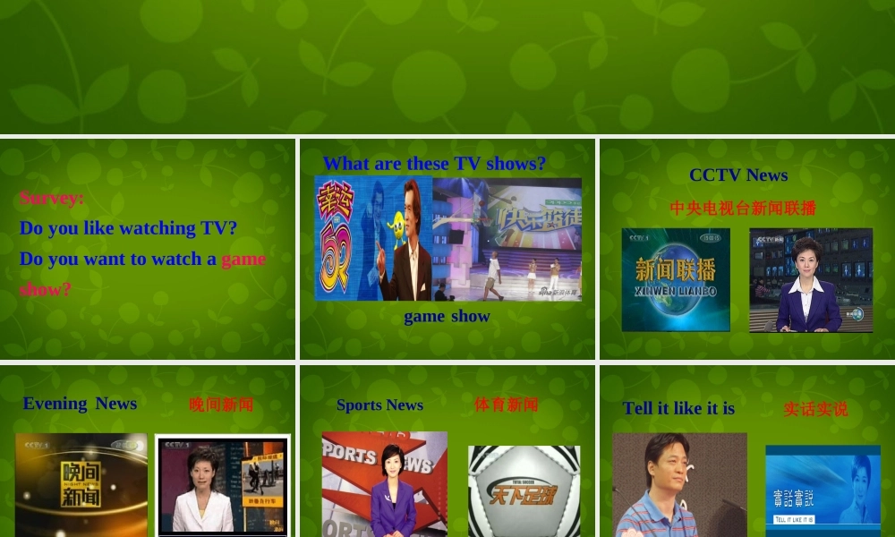 八年级英语上册 Unit 5 Do you want to watch a game show Section A 1课件 (新版)人教新目标版 课件