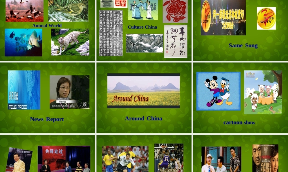 八年级英语上册 Unit 5 Do you want to watch a game show Section A 1课件 (新版)人教新目标版 课件