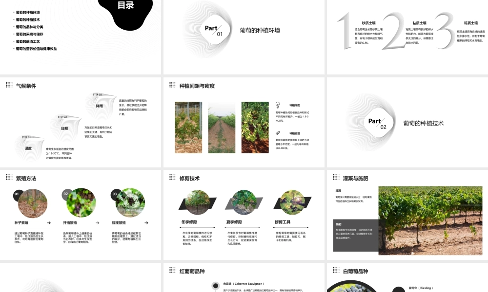 葡萄月令汇总课件