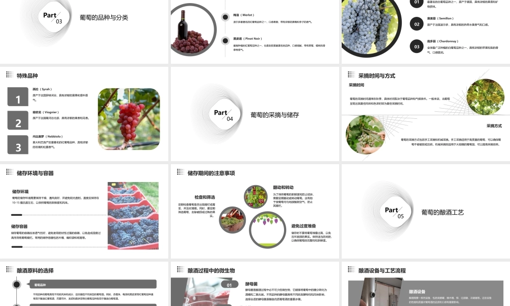 葡萄月令汇总课件
