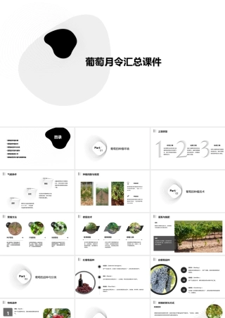葡萄月令汇总课件