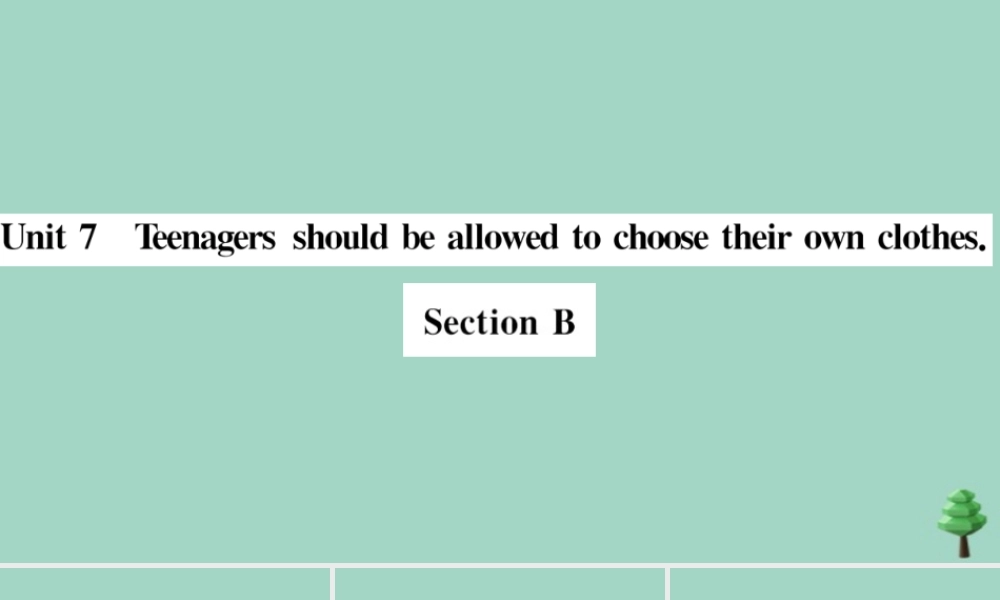 九年级英语全册 Unit 7 Teenagers should be allowed to choose their own clothes Section B(小册子)作业课件 (新版)人教新目标版 课件