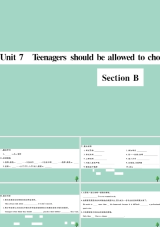 九年级英语全册 Unit 7 Teenagers should be allowed to choose their own clothes Section B(小册子)作业课件 (新版)人教新目标版 课件