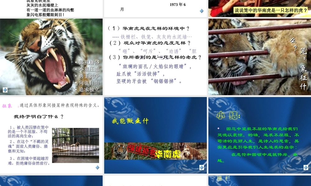 八年级语文华南虎课件 新课标 人教版 课件