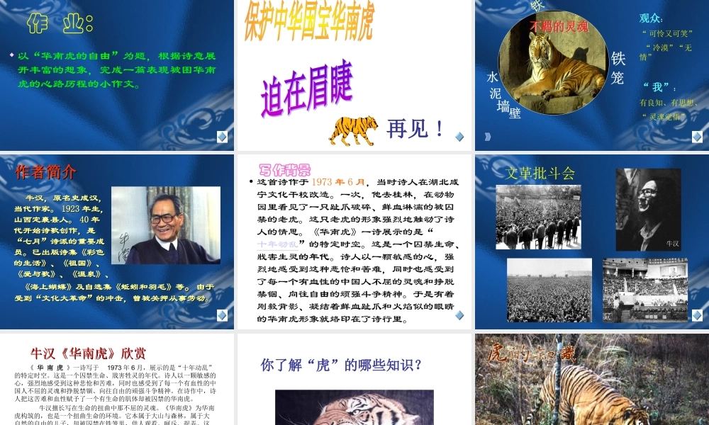 八年级语文华南虎课件 新课标 人教版 课件