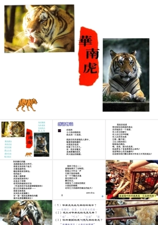 八年级语文华南虎课件 新课标 人教版 课件