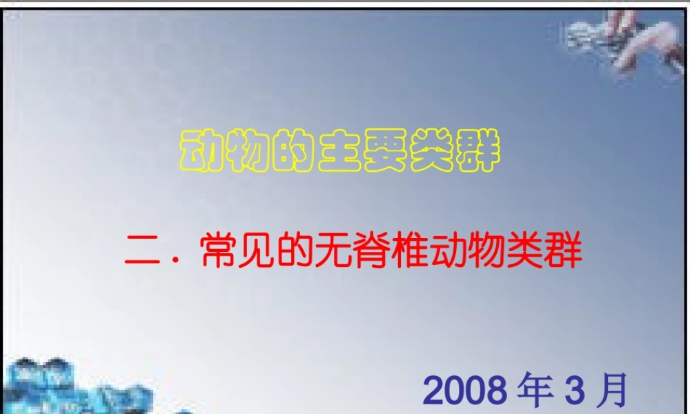八年级生物 第二学期(试验本)第4章第二节 动物  常见的无脊椎动物课件 上海版 课件