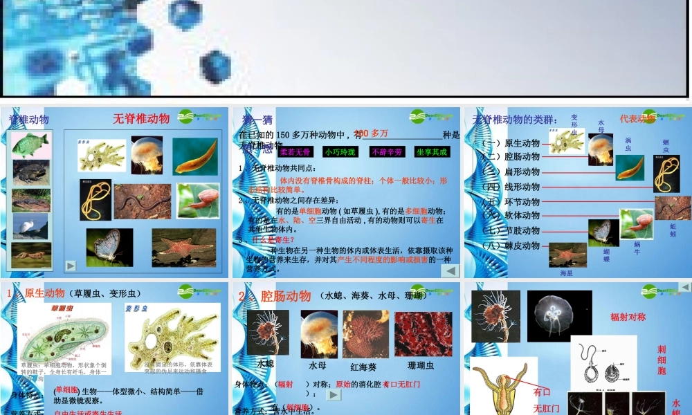 八年级生物 第二学期(试验本)第4章第二节 动物  常见的无脊椎动物课件 上海版 课件