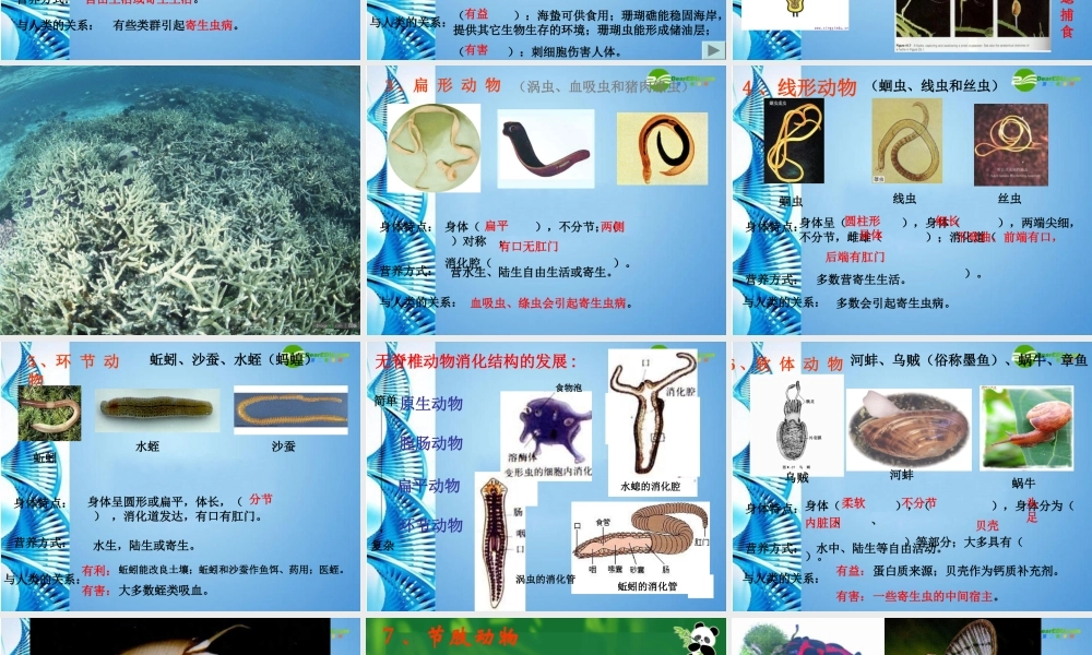 八年级生物 第二学期(试验本)第4章第二节 动物  常见的无脊椎动物课件 上海版 课件