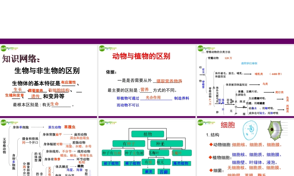 初中科学观察生物奥赛辅导课件(一) 课件
