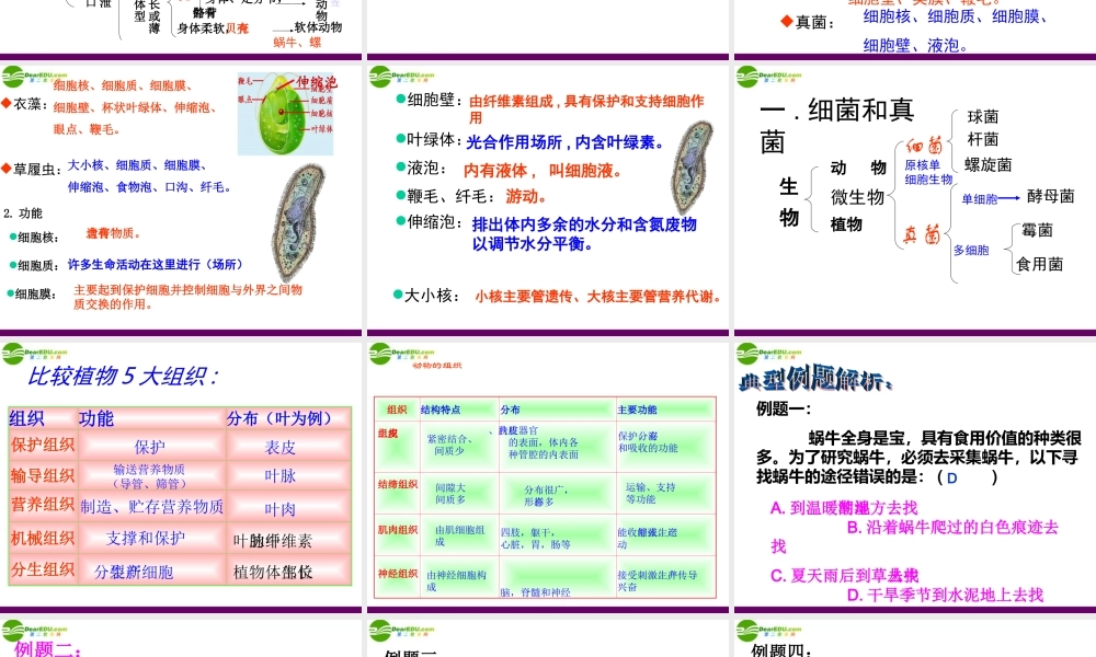 初中科学观察生物奥赛辅导课件(一) 课件