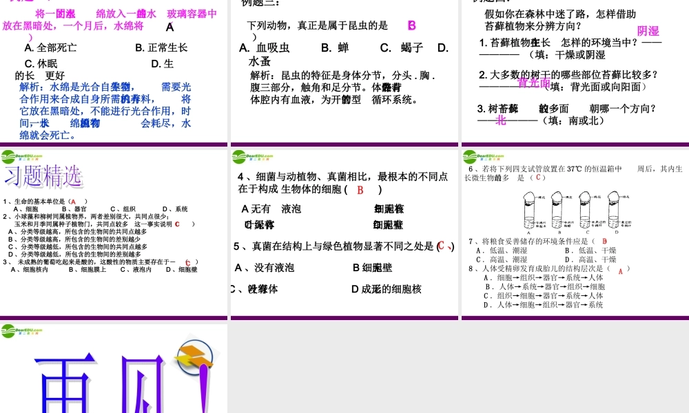 初中科学观察生物奥赛辅导课件(一) 课件