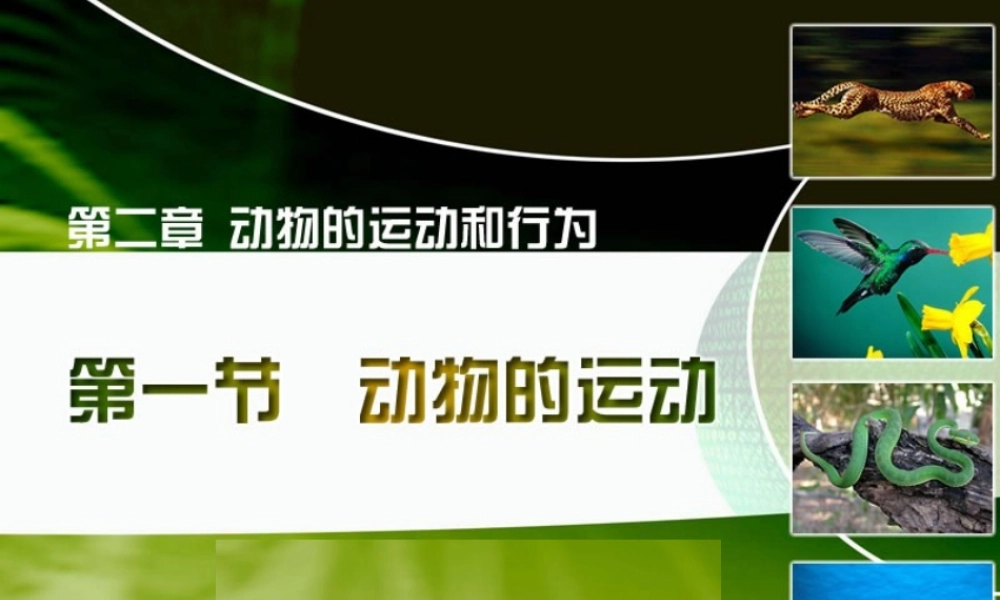 八年级生物上册 动物的运动课件 新人教版 课件