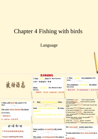 九年级英语上册 Chapter 4 Fishing with birds Language课件 牛津沈阳版 课件