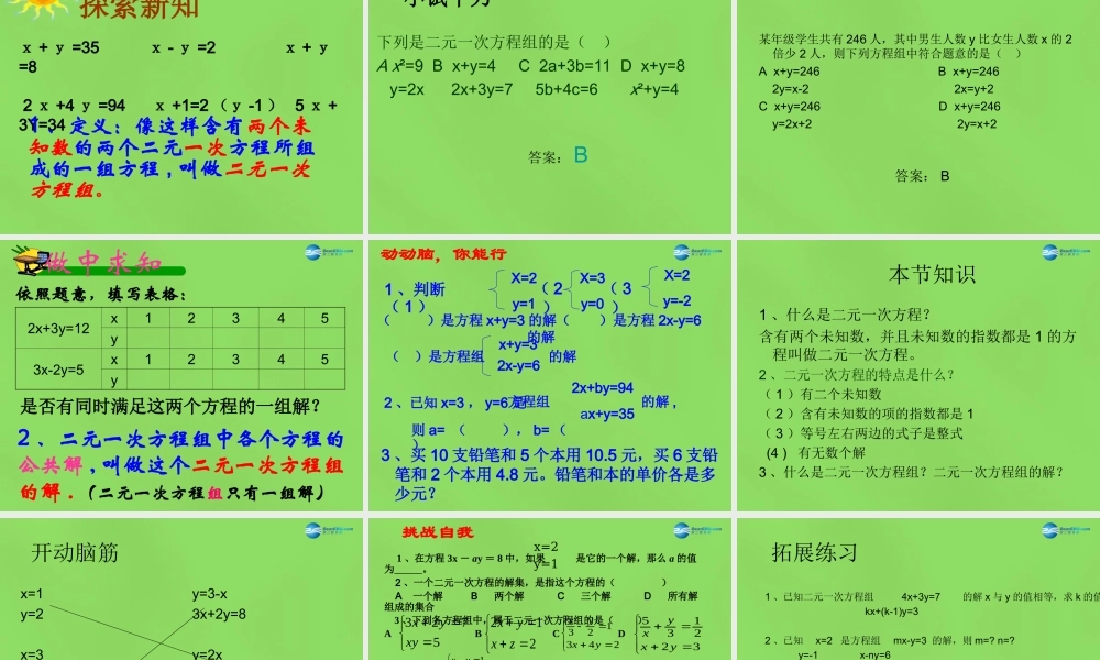 七年级数学下册 6.1(二元一次方程组)课件 (新版)冀教版 课件