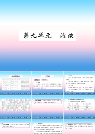 中考化学复习 第1编 教材知识梳理篇 第9单元 溶液(精讲)课件