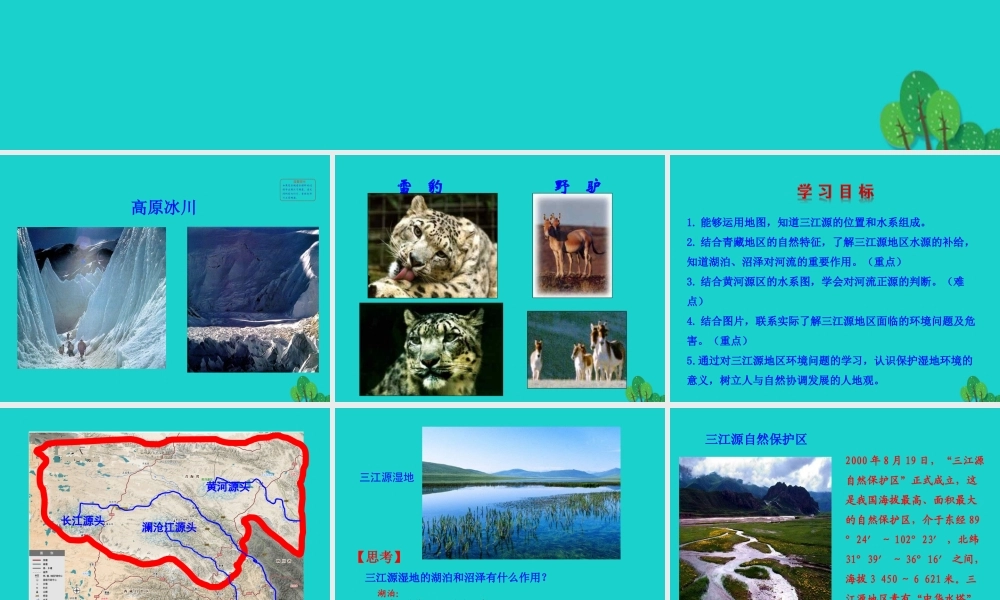 八年级地理下册 第九章 第二节 高原湿地 三江源地区课件(新版)新人教版 课件