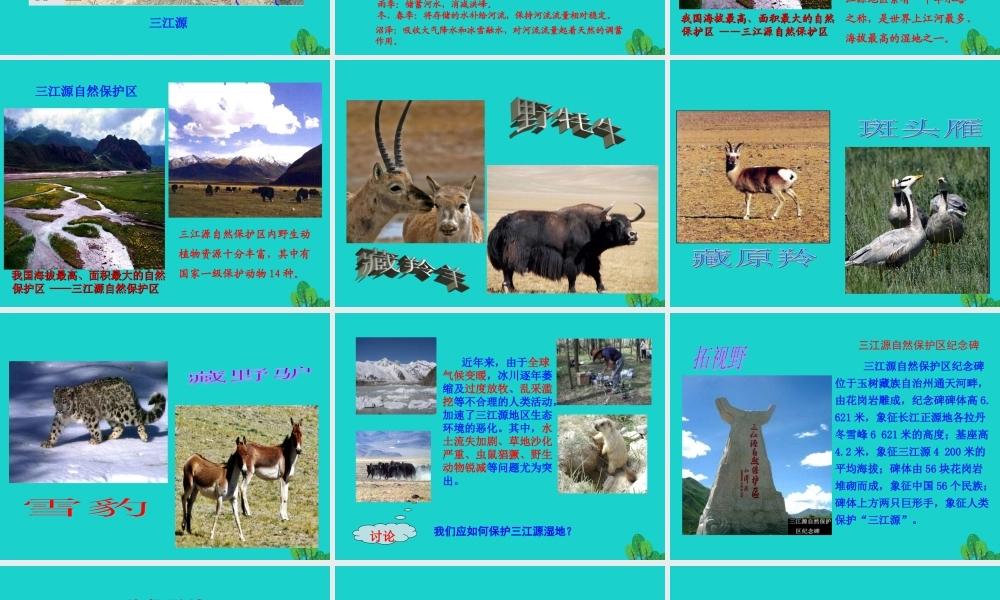 八年级地理下册 第九章 第二节 高原湿地 三江源地区课件(新版)新人教版 课件