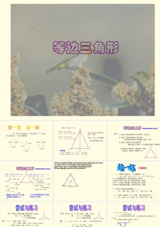 八年级数学等边三角形课件5浙教版 课件